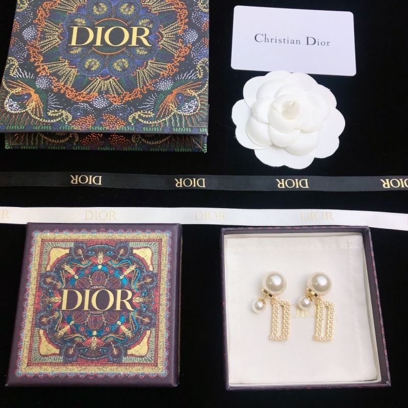 Christian Dior Earrings